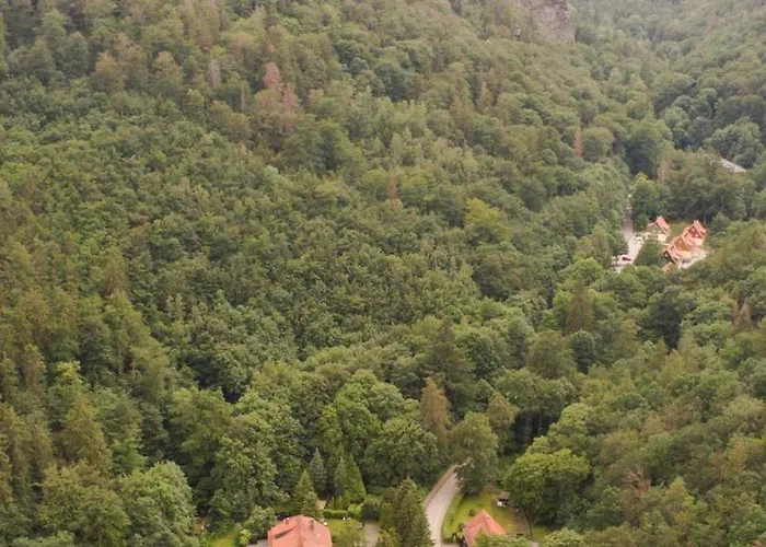 Ferienhaeuser Am Brocken, 80 Qm 3 Schlafzimmer *